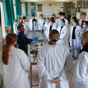 Pre-med students abroad